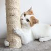 3-Tier Cat Tower with 2 Napping Perches, Cat Condo, 2 Sisal Rope Scratching Posts, and Hanging Toy Ã¢â‚¬â€œ Cat Tree for Indoor Cats by Petmaker (Brown)
